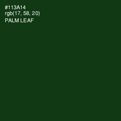 #113A14 - Palm Leaf Color Image